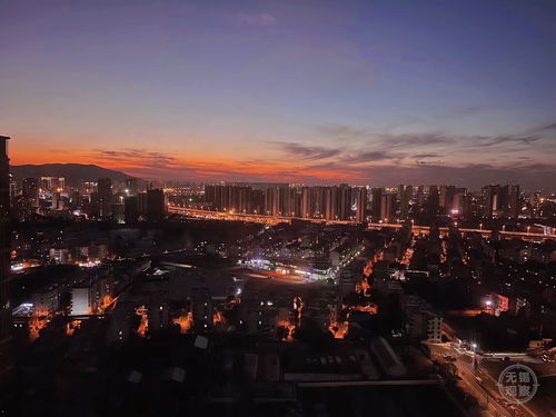 城市夜景路灯照亮道路